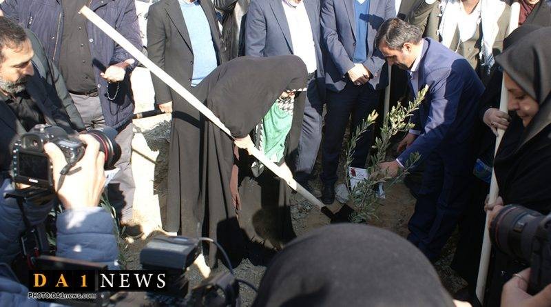 کاشت پنج هزار نهال به یاد کودکان و زنان شهید غزه در بوستان جنگلی سعادت آباد تهران