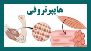 بهترین محدوده تکرار برای عضله سازی در علم امروز کجاست؟