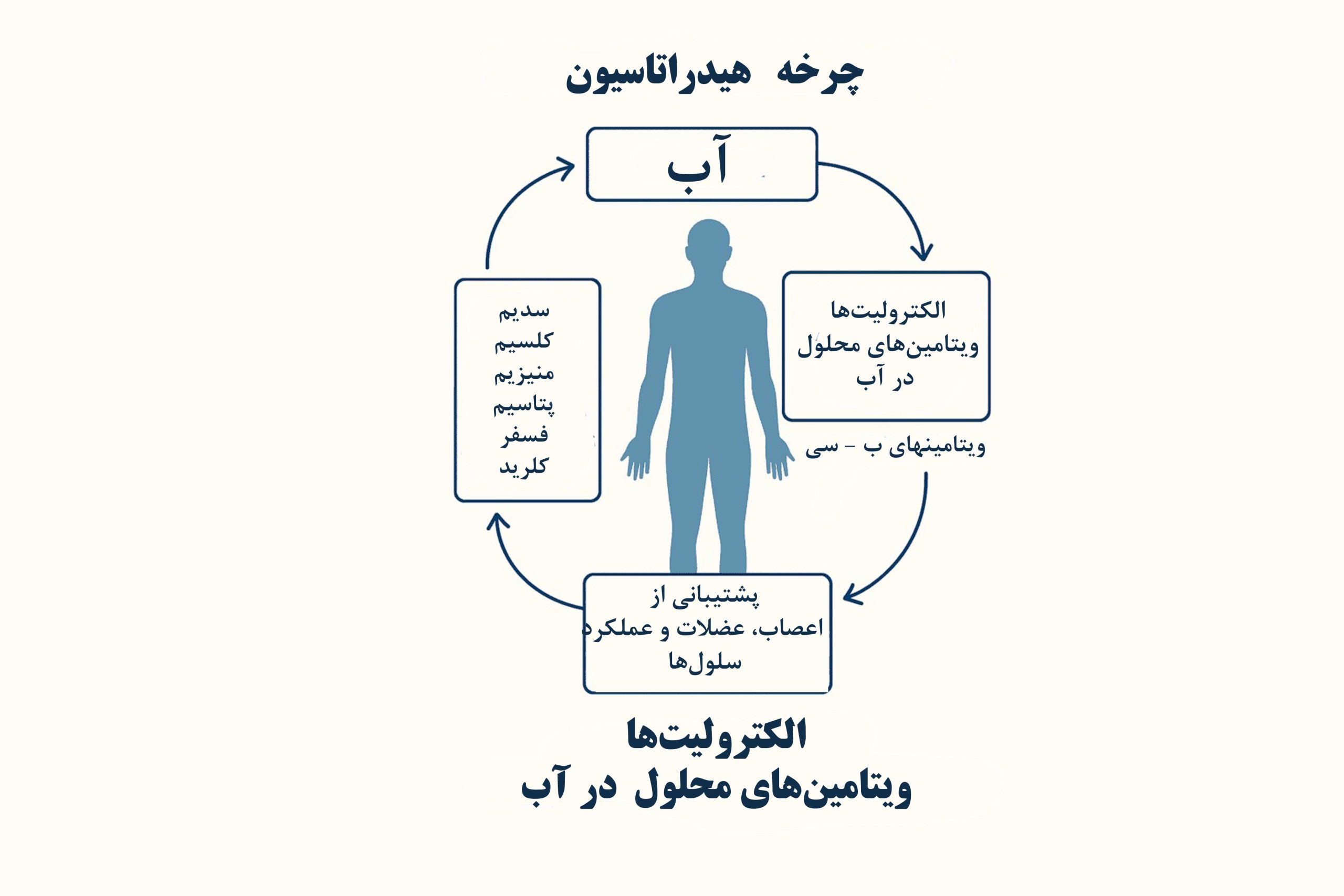 کم آبی مساوی با اشتباهات مغزی بیشتر