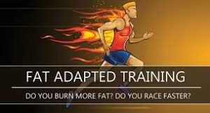 روند سازگاری بدن با مصرف چربی به‌عنوان سوخت اصلی در رژیم کتوژنیک